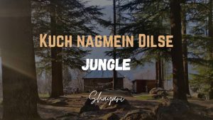 Read more about the article Kuch Nagmein Dilse -Jungle