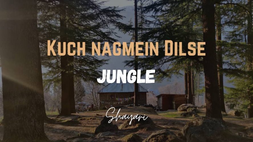 Kuch Nagmein Dilse -Jungle