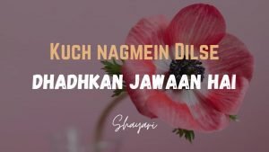 Read more about the article Kuch Nagmein Dilse – Dhadhkan Jawaan Hai