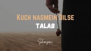 Read more about the article Kuch Nagmein Dilse – Teri Talab